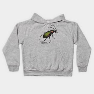 Beautiful Ground Beetle Kids Hoodie